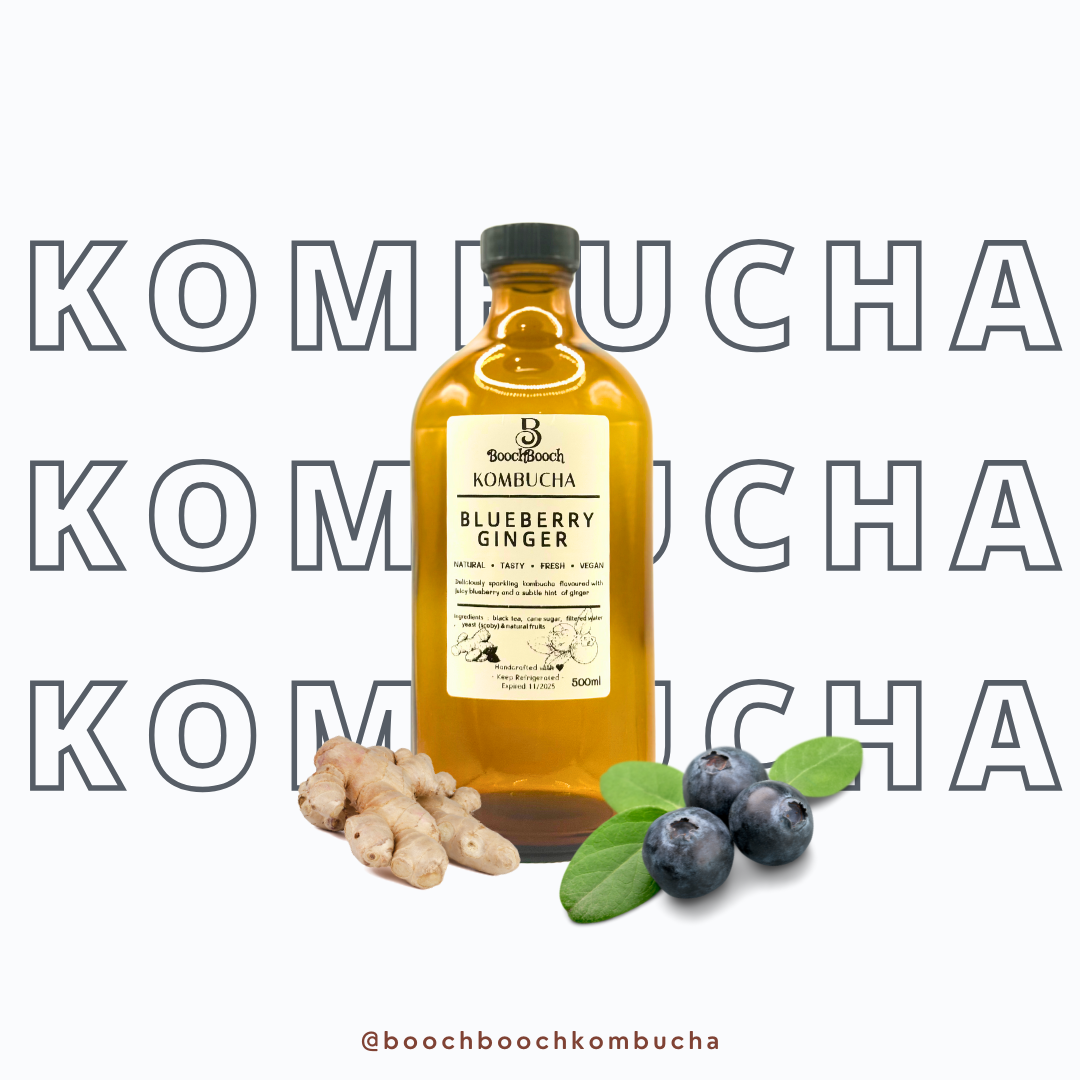 500ml x 3 Blueberry Ginger Kombucha