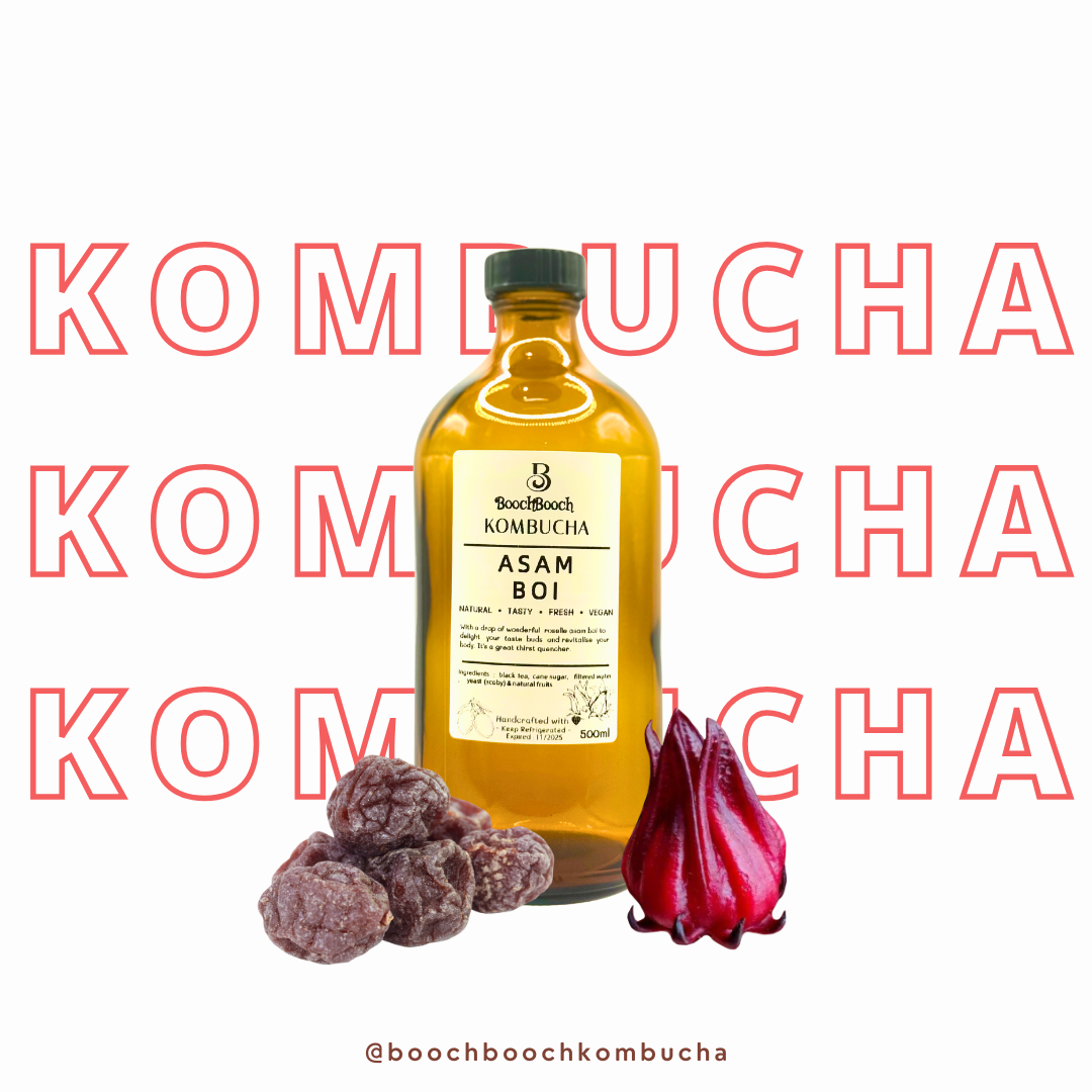 500ml x 3 Asam Boi Kombucha
