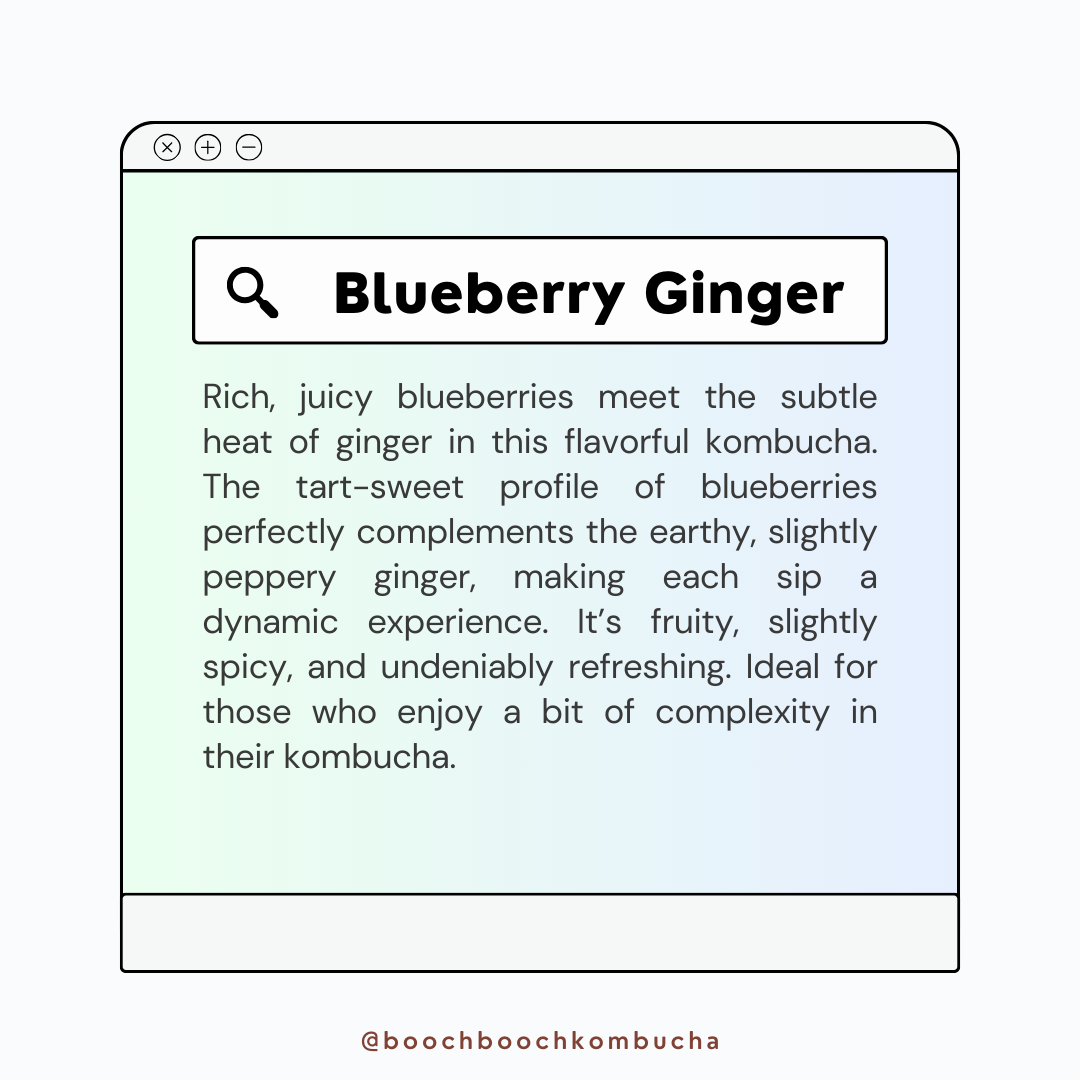 1 Litre x 2 Blueberry Ginger Kombucha