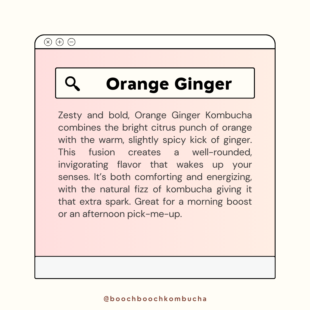 1L x 2 Orange Ginger Kombucha