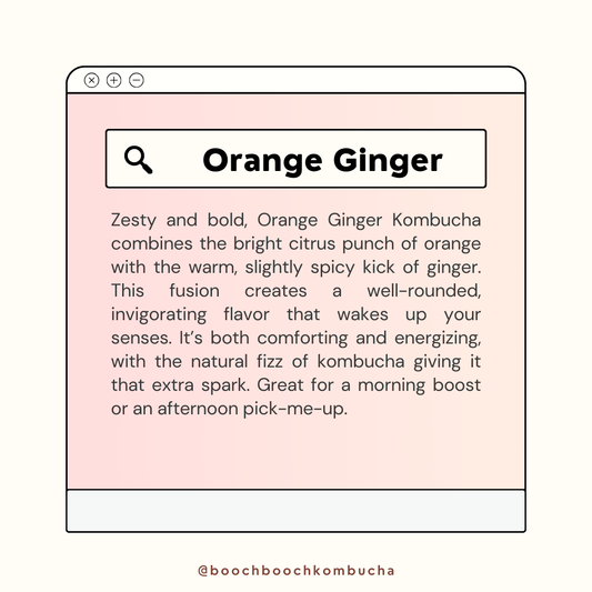 1L x 2 Orange Ginger Kombucha