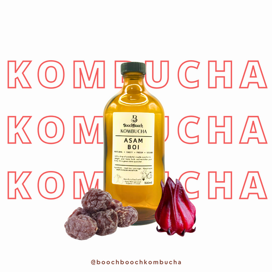 500ml x 3 Asam Boi Kombucha