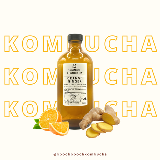500ml x 3 Orange Ginger Kombucha